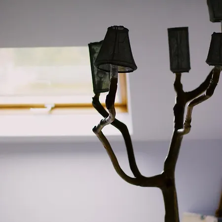 Apartment Casa Oliva - Casa Da Mata Porto de Mos (Leiria)