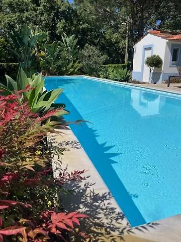 Casa Oliva - Casa Da Mata