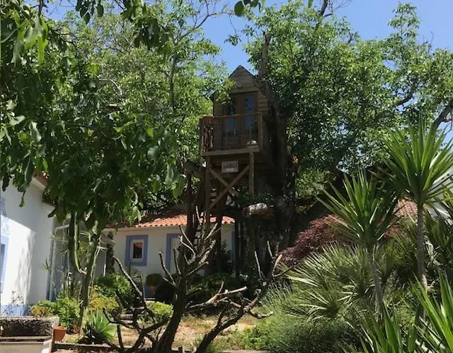 Apartamento Casa Oliva - Casa Da Mata Porto de Mós