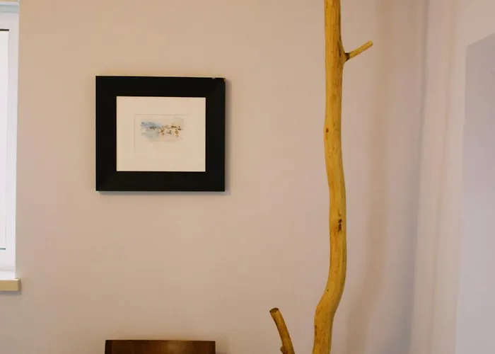 Casa Oliva - Casa Da Mata *