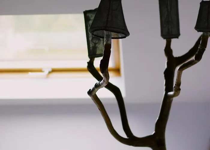 Apartamento Casa Oliva - Casa Da Mata Porto de Mós