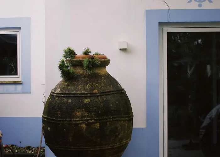 Casa Oliva - Casa Da Mata Porto de Mós