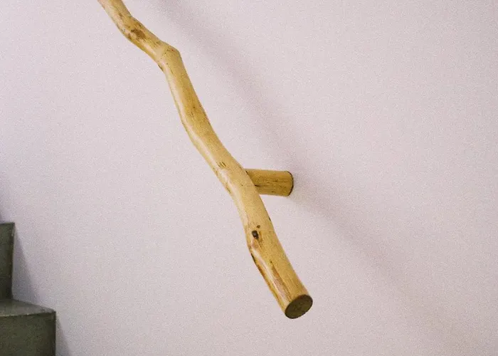 Casa Oliva - Casa Da Mata Apartamento *