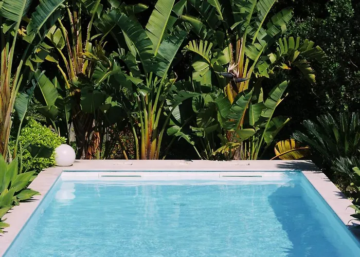 Casa Oliva - Casa Da Mata *