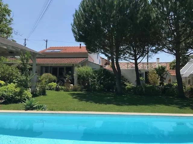 Casa Oliva - Casa Da Mata